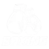 boxing sports image