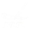 nhl sports image